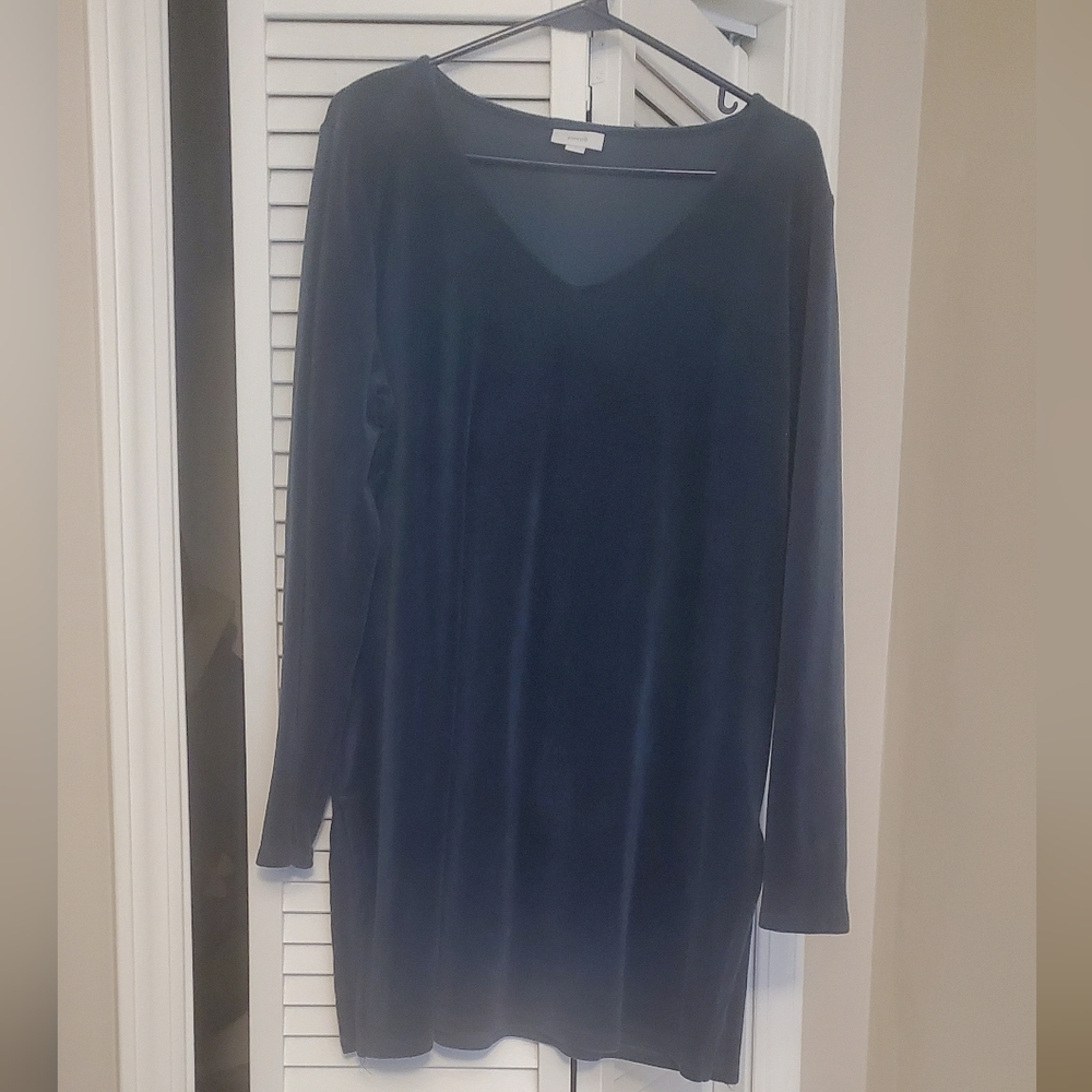 Jjill Elegant Blue V-Neck Tunic Velour